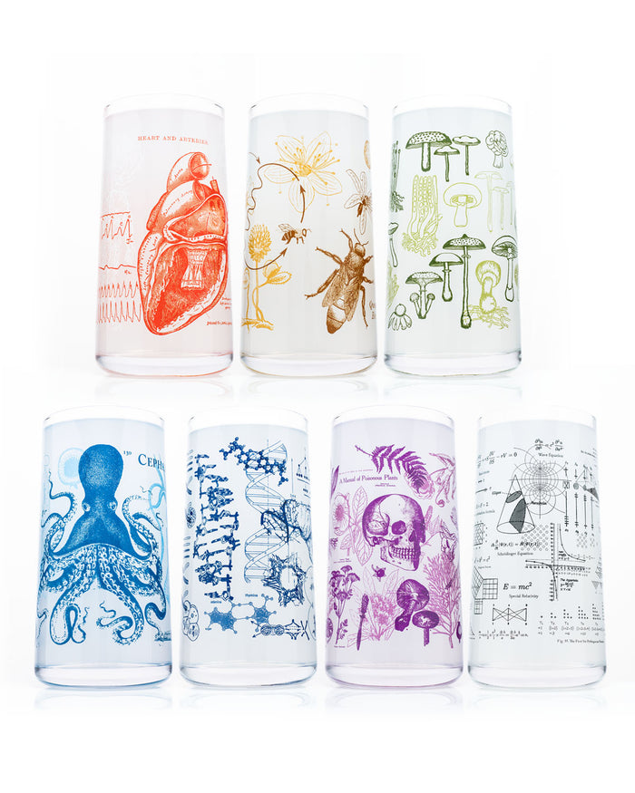 Six Vintage Science Drinking Glassware Set of 7 glasses with different designs on them, manufactured by Cognitive Surplus.