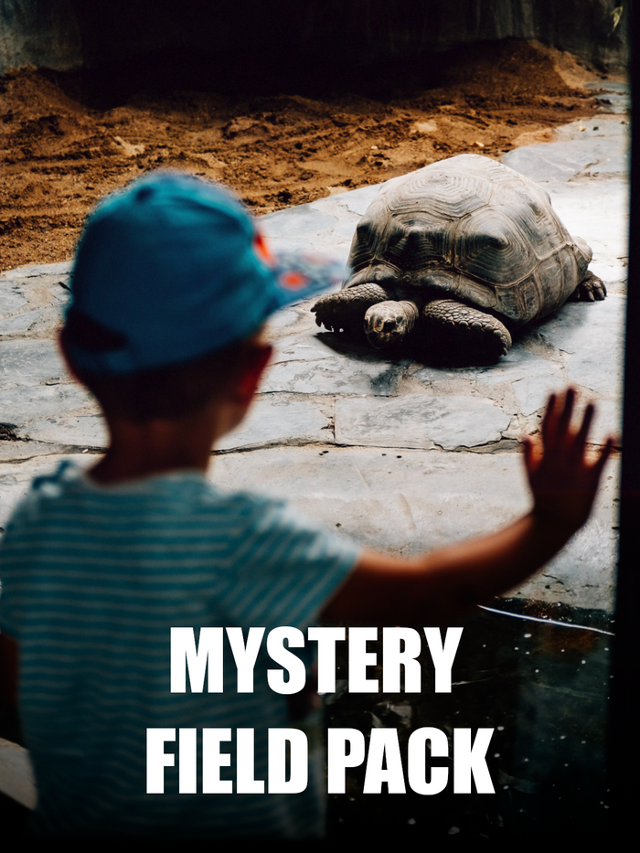 Weekend at the Zoo Mystery Field Box