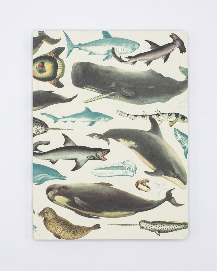 Whales & Seals Softcover - Lined Cognitive Surplus