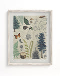 Woodland Forest Plate 2 Museum Print Cognitive Surplus