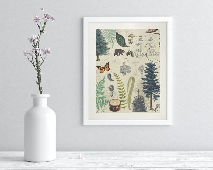 Woodland Forest Plate 2 Museum Print Cognitive Surplus