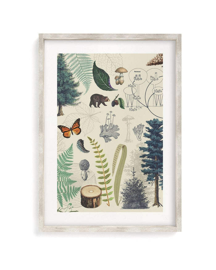 Woodland Forest Plate 2 Museum Print Cognitive Surplus