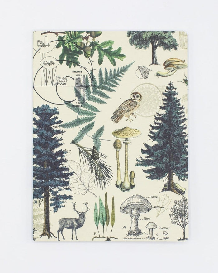 Woodland Forest Softcover - Lined Cognitive Surplus