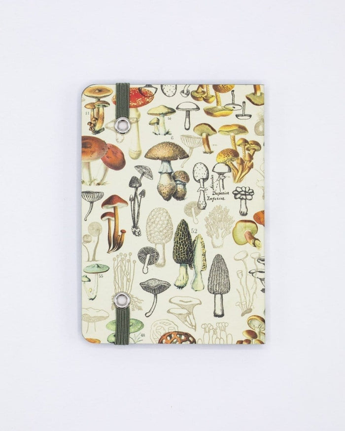 Woodland Mushrooms Observation Softcover Cognitive Surplus