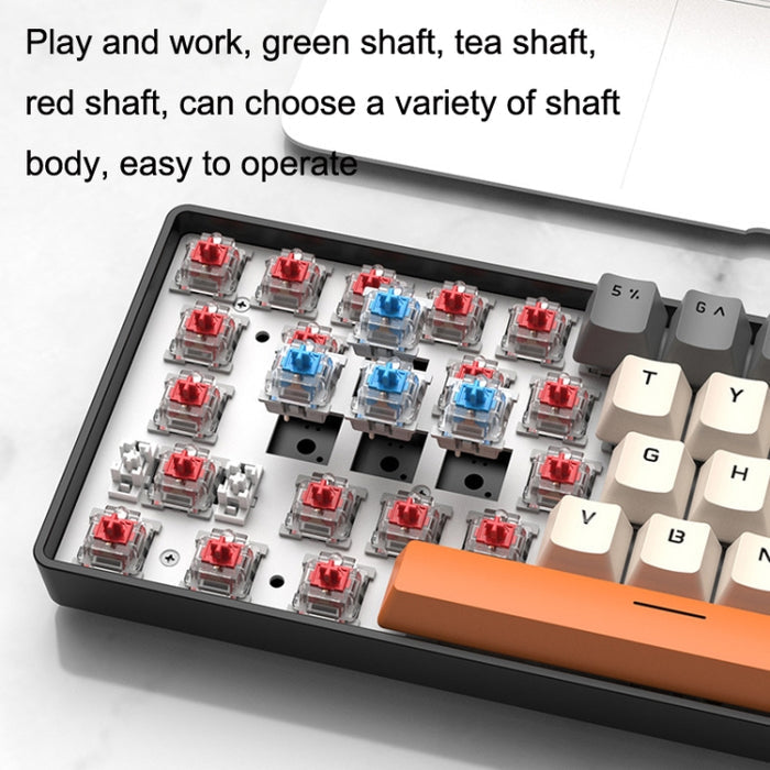 ZIYOU LANG T8 Gaming Keyboard - 68 Keys RGB Mechanical with Optimal Cable Length